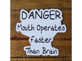 Sticker - Danger Mouth - 3 Pack