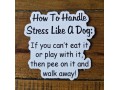 Sticker - Stress Dog - 3 Pack