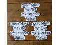 Sticker - Teacher Voice - 3 Pack