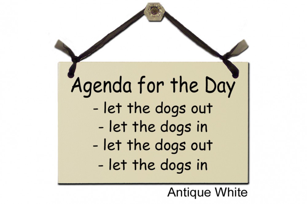 Agenda for the day let Dogs out let Dogs in