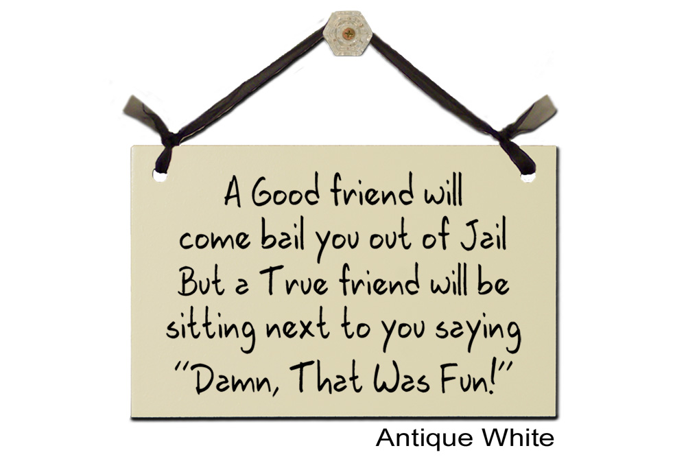 A Good friend will bail out of Jail Damn Fun