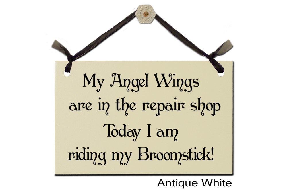 My Angel Wings repair riding Broomstick