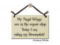 My Angel Wings repair riding Broomstick