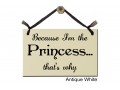 Because I'm the Princess that's why