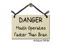 Danger Mouth operates faster than Brain