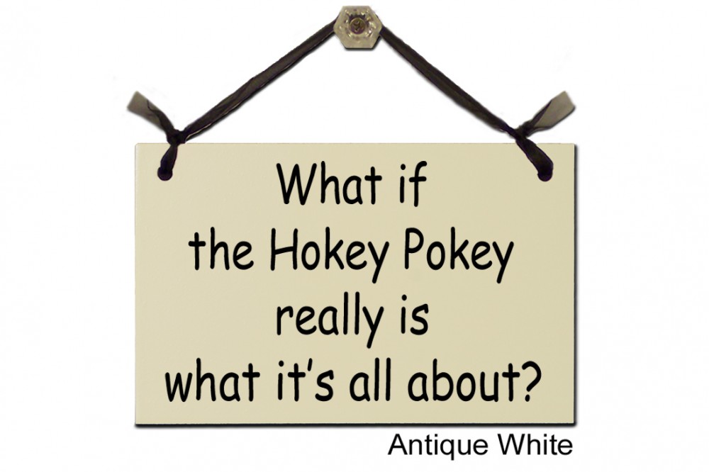 What if the Hokey Pokey what it's about