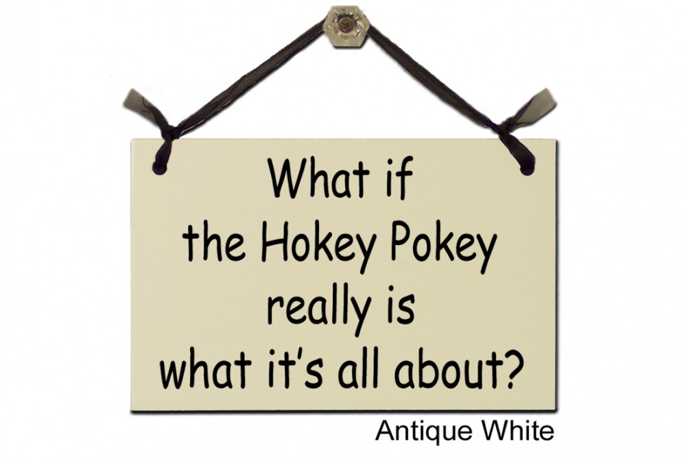 What if the Hokey Pokey what it's about