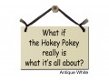What if the Hokey Pokey what it's about