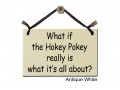 What if the Hokey Pokey what it's about