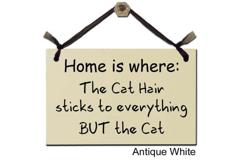 Home is where cat hair sticks to everything