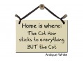 Home is where cat hair sticks to everything