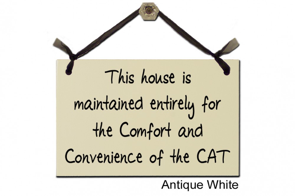 This house is maintained for comfort of Cat