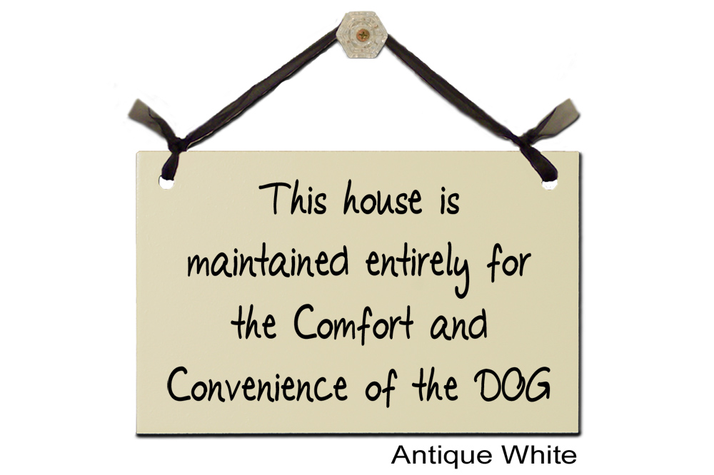 This house is maintained for comfort of Dog