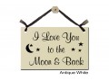 I Love you to the Moon and Back