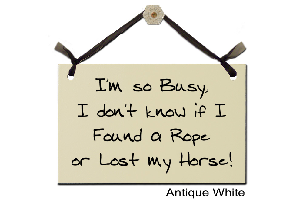 I'm so Busy I found Rope lost Horse