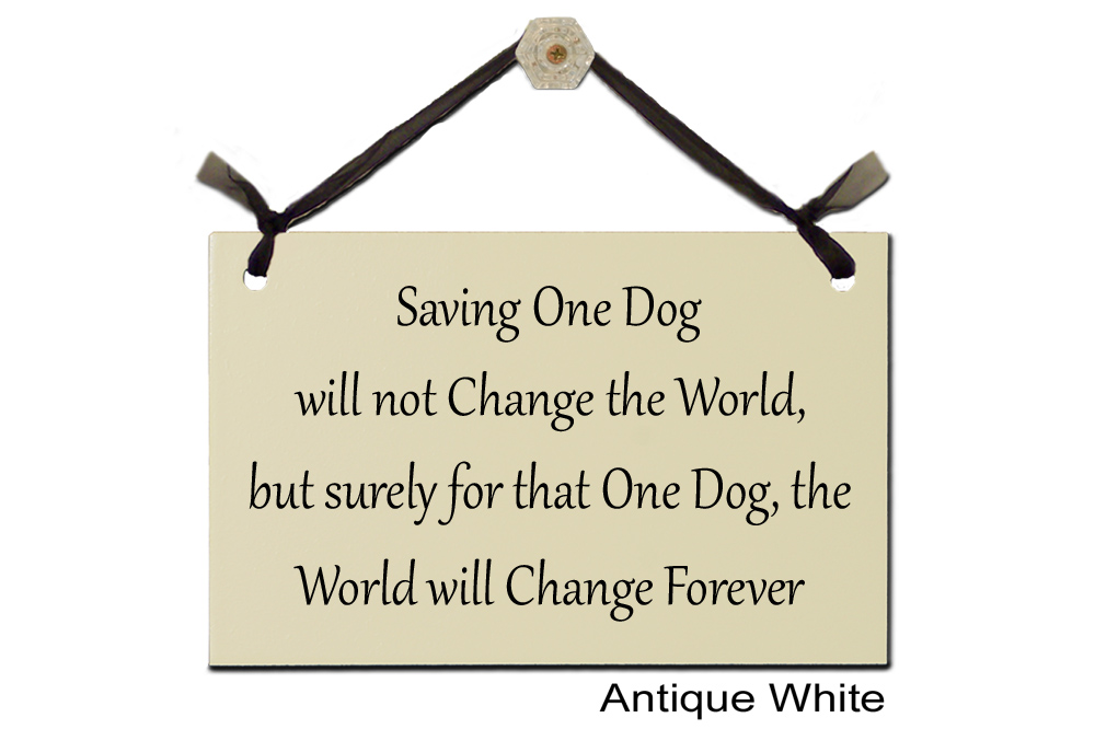 Saving One Dog surely world change forever