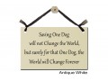 Saving One Dog surely world change forever