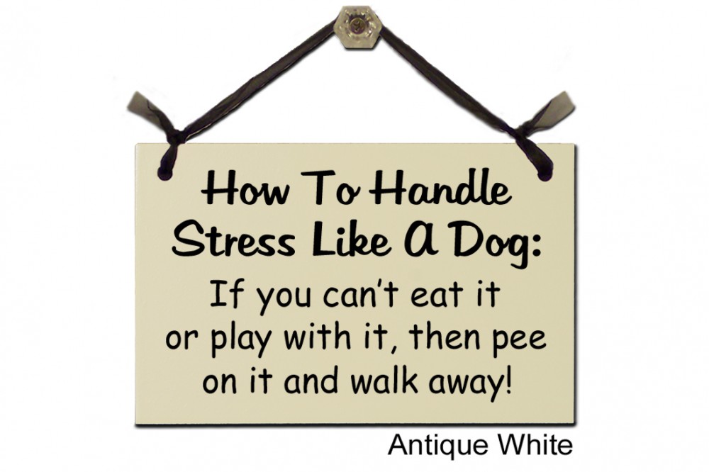 How to handle stress like a Dog eat play pee
