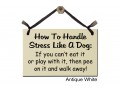 How to handle stress like a Dog eat play pee